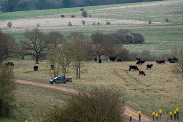 black off-road toyota hilux 4x4 vehicle in english countryside