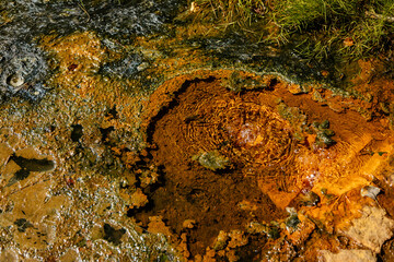 Nature reserve Soos in Western Bohemia, Czech Republic, vast peat bogs with lakes, mineral springs...