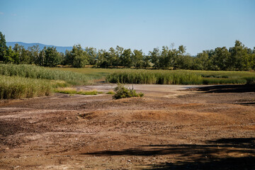 Nature reserve Soos in Western Bohemia, Czech Republic, vast peat bogs with lakes, mineral springs...