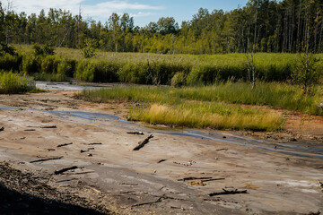 Nature reserve Soos in Western Bohemia, Czech Republic, vast peat bogs with lakes, mineral springs and gaseous carbon dioxide springs, nature trail with meandering wooden walkways at summer sunny day