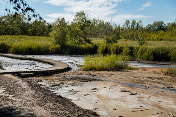 Nature reserve Soos in Western Bohemia, Czech Republic, vast peat bogs with lakes, mineral springs...