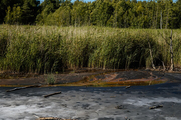 Nature reserve Soos in Western Bohemia, Czech Republic, vast peat bogs with lakes, mineral springs...