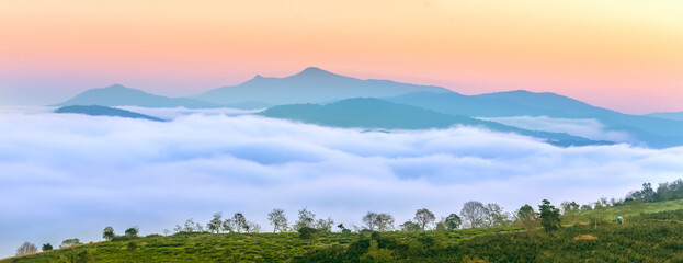 New morning scene on top hill looking down with fog covering valley and peaceful sunrise sky...