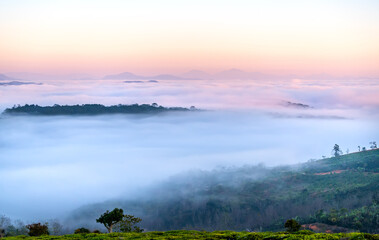 Fototapeta na wymiar New morning scene on top hill looking down with fog covering valley and peaceful sunrise sky background in Da Lat highland, Vietnam