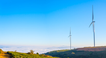 Wind turbines on the top of the hill in the morning. This is a clean energy source that does not pollute the environment to serve electricity for people