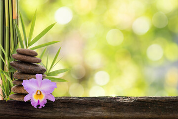 Old wood floor and  pink cattleya flower on bokeh nature background.