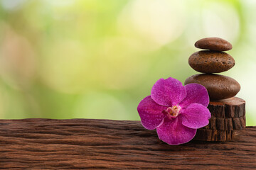 Zen stone and vanda orchid on bokeh nature background.