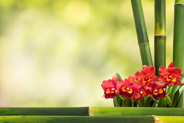 Bamboo wood floor and  red cattleya flower on bokeh nature background.