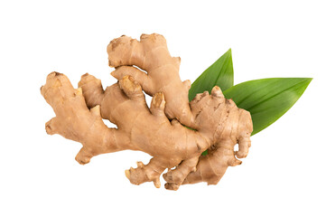 Fototapeta premium Ginger rhizome isolated on white background with clipping path.