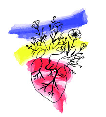 Human heart with flowers. Illustration of realistic heart