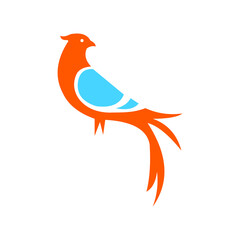 illustration logo bird icon templet