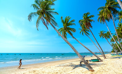 Inclined coconut trees leaning toward the tropical sea on summer afternoon. Beautiful sandy beach for rest and relaxation.