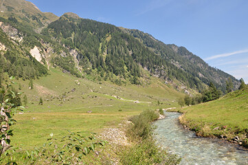 landscape in the mountains