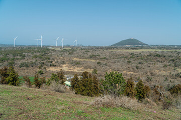 제주도 자연 풍경