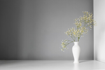 gypsophila flowers in white vase on gray background
