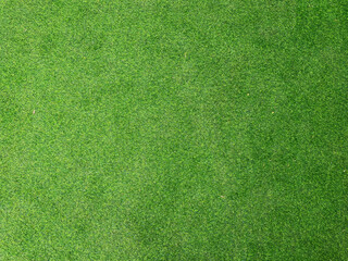 Top view of Natural green grass meadow, green grass texture land