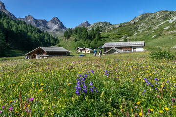Chalets de Clapeyto , Paysage du Massif du Queyras en été , Hautes-Alpes , France