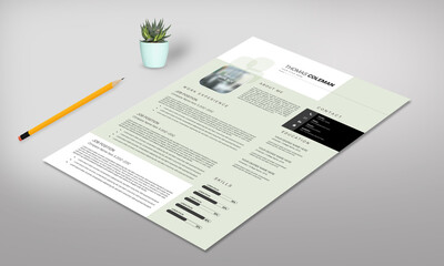 Modern Resume Design Layout