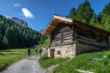 Randonnée  dans le Massif du Queyras en été , Hautes-Alpes , France