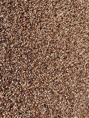 Grains of Sand close-up on Big Island.