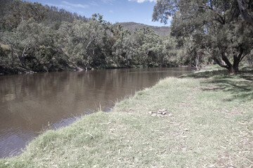 The Gwydir River near Bingara, NSW, just after the floodwaters receded. Known for its areas of free camping.