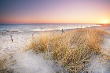 Fototapeta na wymiar natural beach with dunes and grass