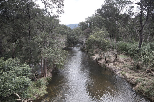 Rivers Near The Town Of Grafton After A Recent Flood, New South Wales, Australia.