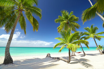 Fototapeta na wymiar perfect white sand beach with turquoise water, palms and colorful hammock