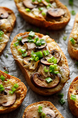Ciabatta toast with mozzarella cheese and champignons sprinkled with green onions, close up view