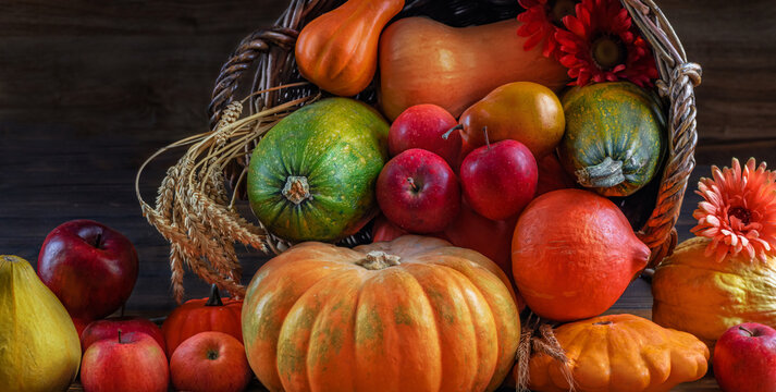 Thanksgiving autumn still life. Pumpkins, winter squash, apples, ears of wheat, nuts, and flowers spill out of a wicker basket in fall. Rich harvest beautiful picture for a calendar, postcard, poster