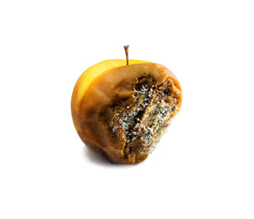 Rotten apple close-up on a white background