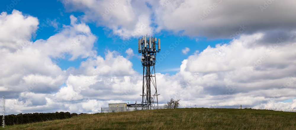 Wall mural phone mast