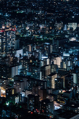 Fototapeta na wymiar Night in Tokyo