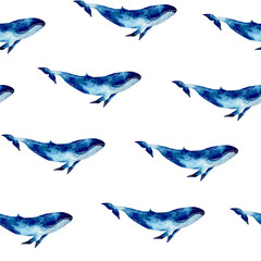 Seamless pattern with illustration whale on white background