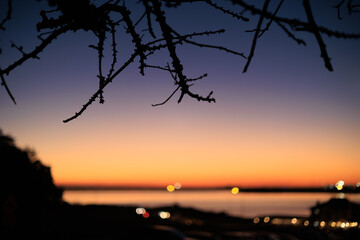 美しい夕焼けと小枝のシルエット