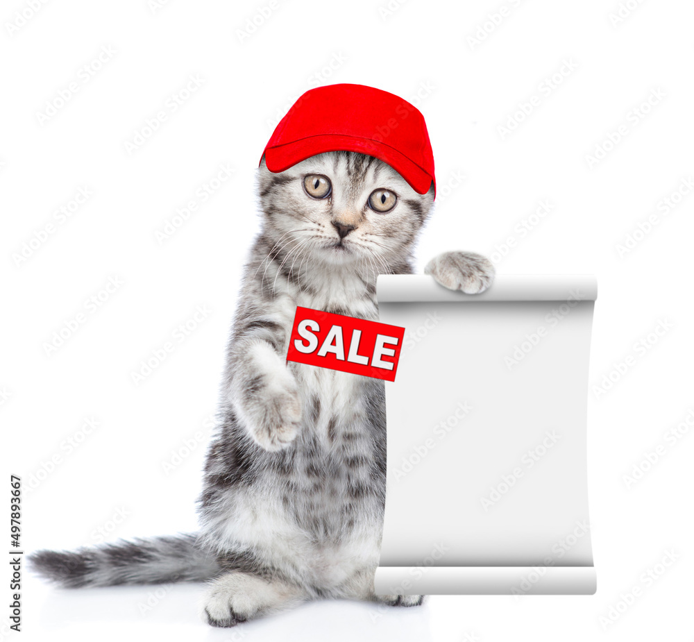 Poster cute kitten wearing red cap shows sales symbol and empty list. isolated on white background
