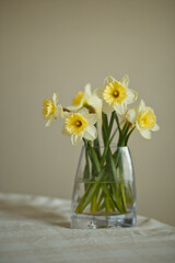 Fototapeta na wymiar daffodils in vase on table