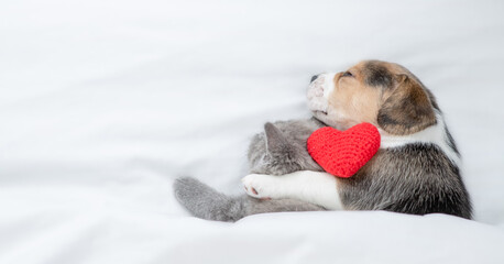 Beagle puppy hugs tiny kitten Pet sleep with red heart  under a white blanket on a bed at home. Top down view. Empty space for text © Ermolaev Alexandr
