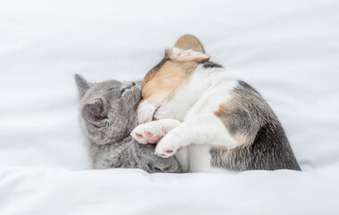 Beagle puppy hugs tiny kitten. Pets sleep together under a white blanket on a bed at home. Top down view