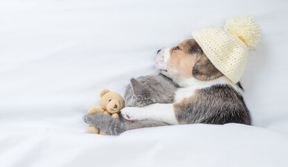 Beagle puppy wearing warm hat hugs tiny kitten Pet sleep with toy bear under a white blanket on a...