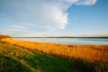 Picturesque countryside view with lake on a sunny day.