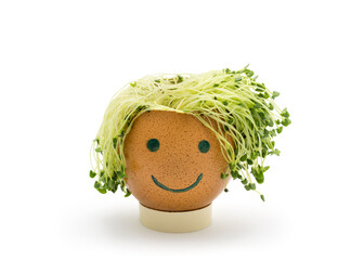 Withered chia sprouts in eggshell with funny face