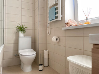 White toilet bowl in a cream colored bathroom interior. Cleaning and organizing. Freshness context.