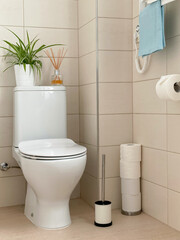White toilet bowl in a cream colored bathroom interior. Cleaning and organizing. Freshness context.