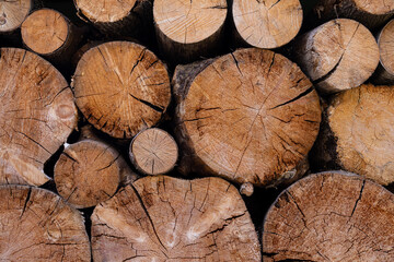 Cross section of the timber, cut trees, firewood stack for the background. Close up pile of logs background.