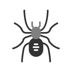 Tarantula Icon