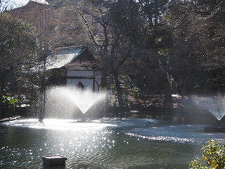 井の頭公園にある池と噴水