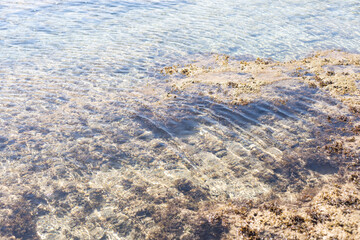 Sandy wild beach of the Red Sea.