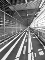 luci e ombre in black and white