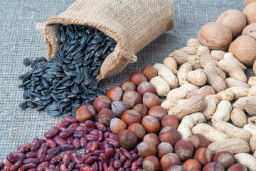 Peanuts, hazelnuts, walnuts, mouse on a diagonal background